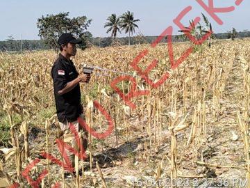 Geolistrik JIAT Desa Marga Kaya Lampung Selatan