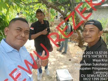 Geolistrik Untuk Bantuan Sumur Bor Darurat Kab. Pringsewu Desa Waya Krui