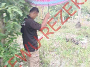 Geo Desa Mulyasari – Way Kanan