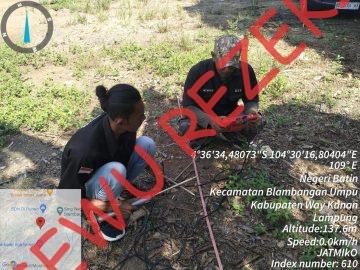 Geo Desa Gistang – Way Kanan