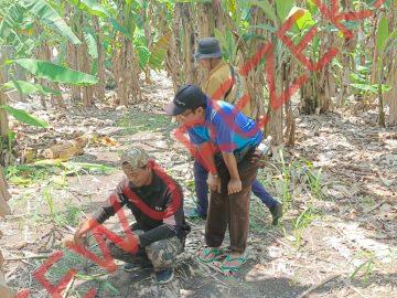 Geolistri di Tambak PT. CPB Suak Kalianda “Titik 1”