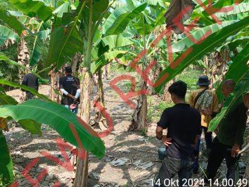 Geolistri di Tambak PT. CPB Suak Kalianda “Titik 3”